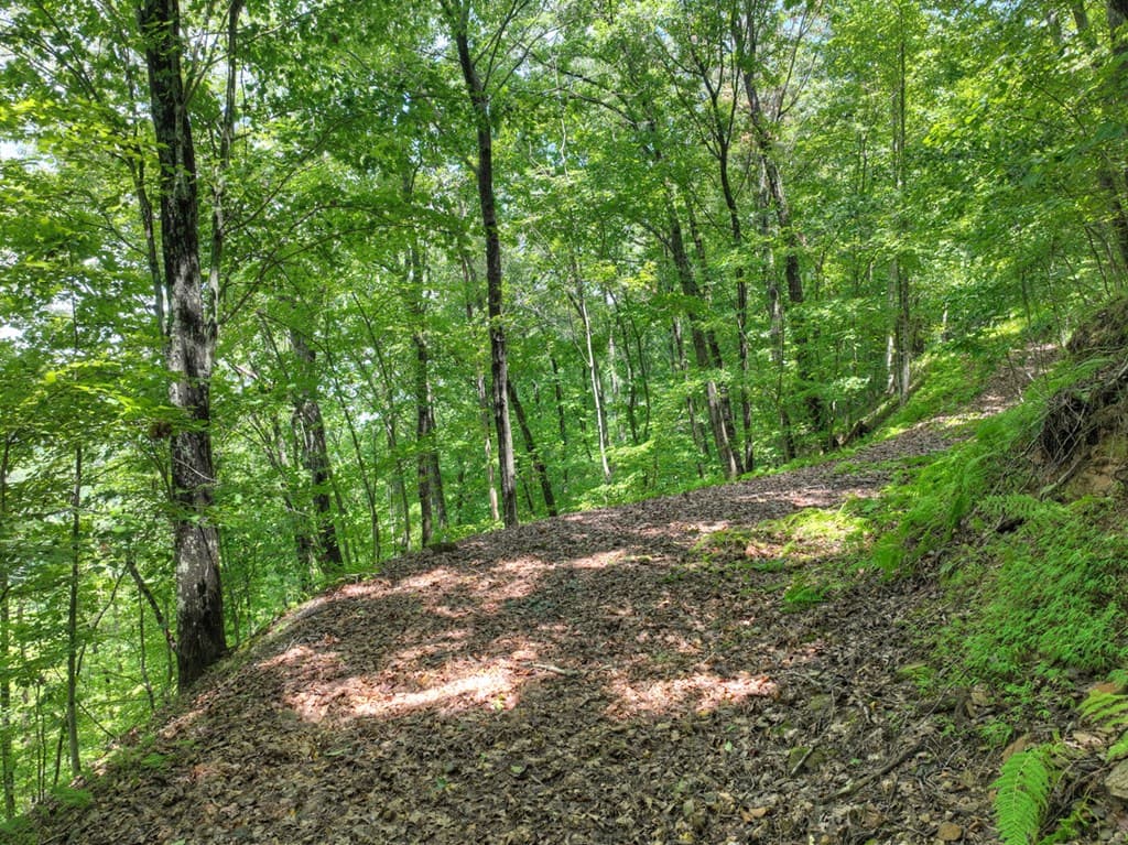 LOT 20 Locust Lane, Morganton GA 30560 - Photo