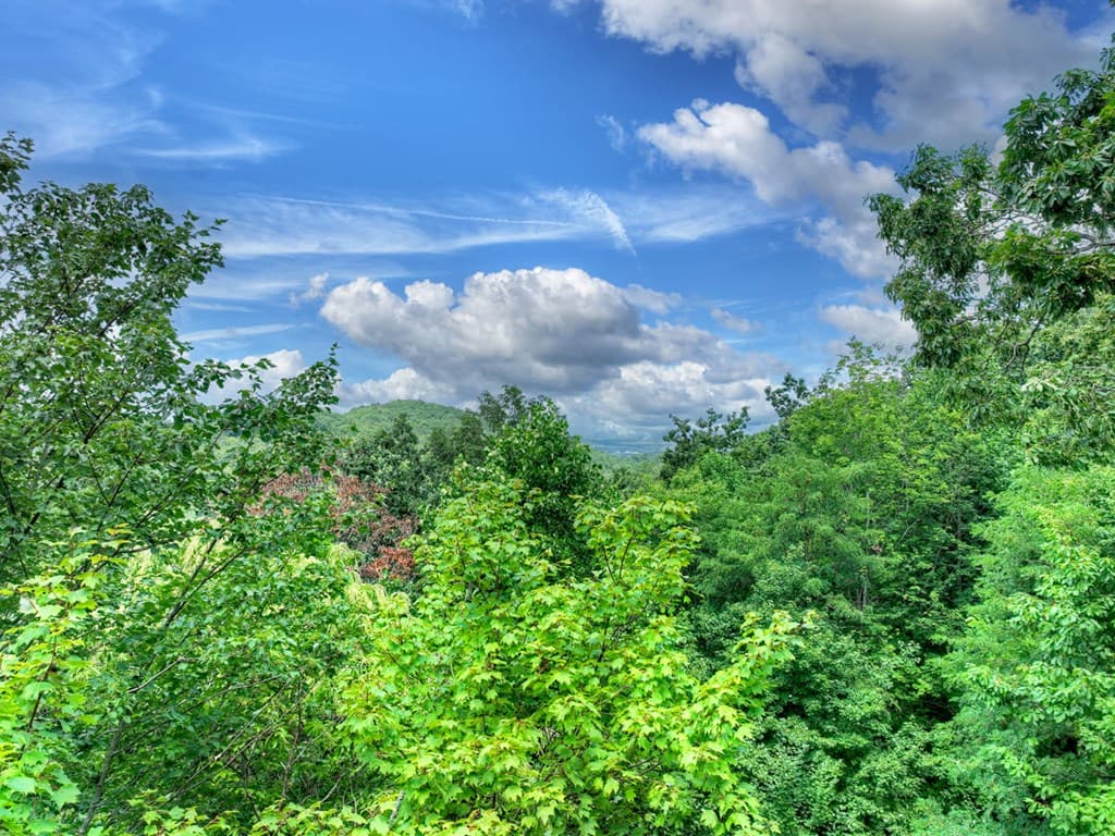 LOT 20 Locust Lane, Morganton GA 30560 - Photo