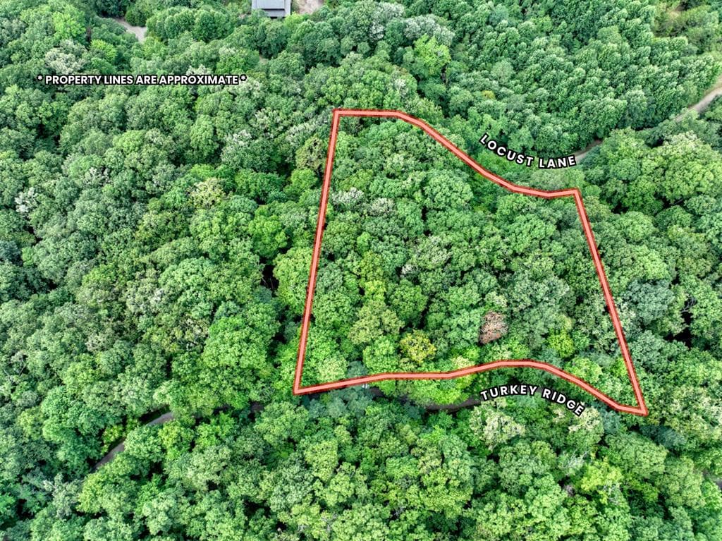 LOT 20 Locust Lane, Morganton GA 30560 - Photo