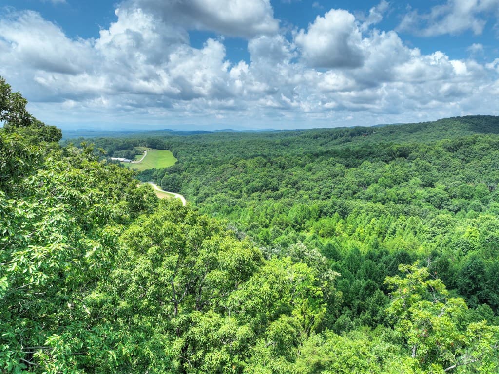LOT 20 Locust Lane, Morganton GA 30560 - Photo