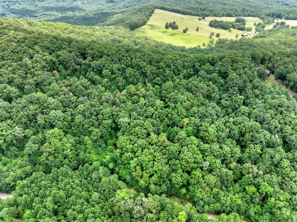 LOT 20 Locust Lane, Morganton GA 30560 - Photo