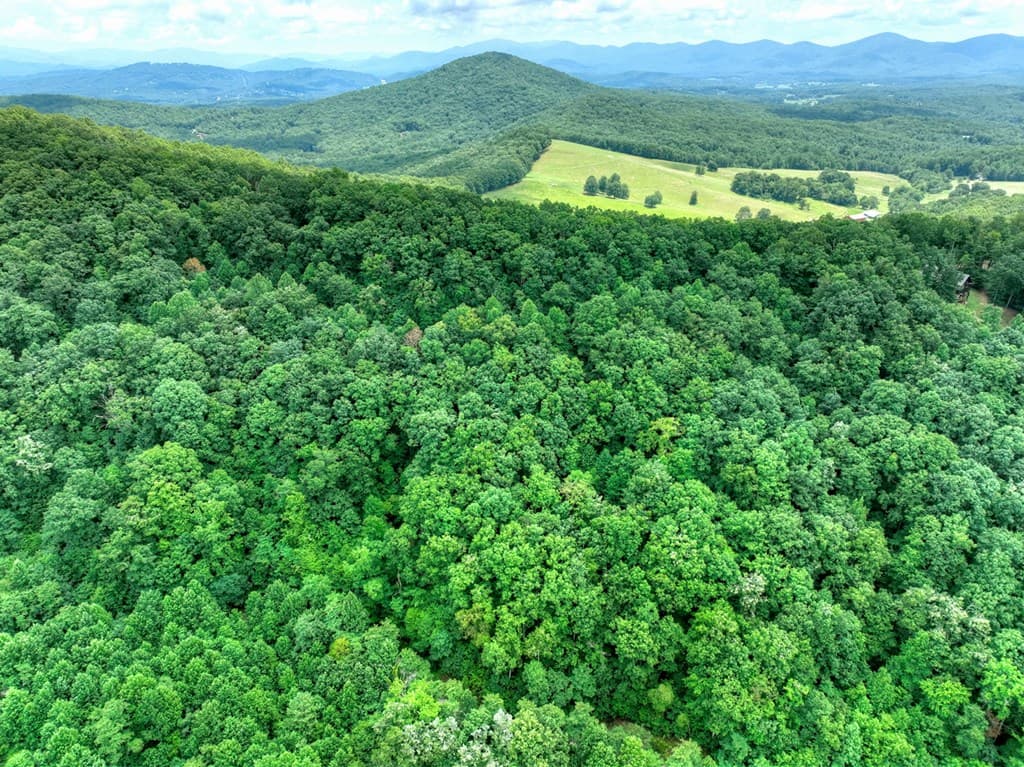 LOT 20 Locust Lane, Morganton GA 30560 - Photo