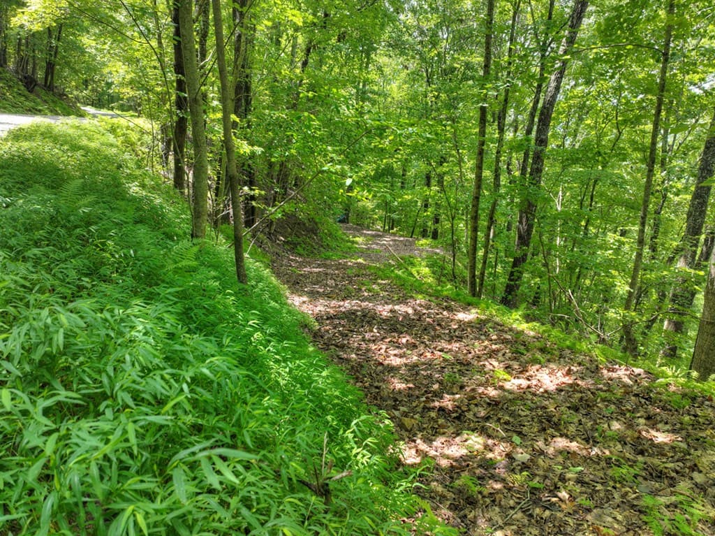 LOT 20 Locust Lane, Morganton GA 30560 - Photo