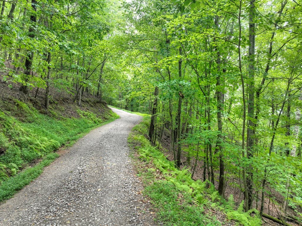 LOT 20 Locust Lane, Morganton GA 30560 - Photo