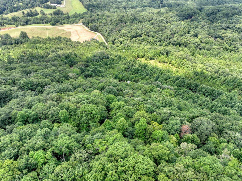 LOT 20 Locust Lane, Morganton GA 30560 - Photo