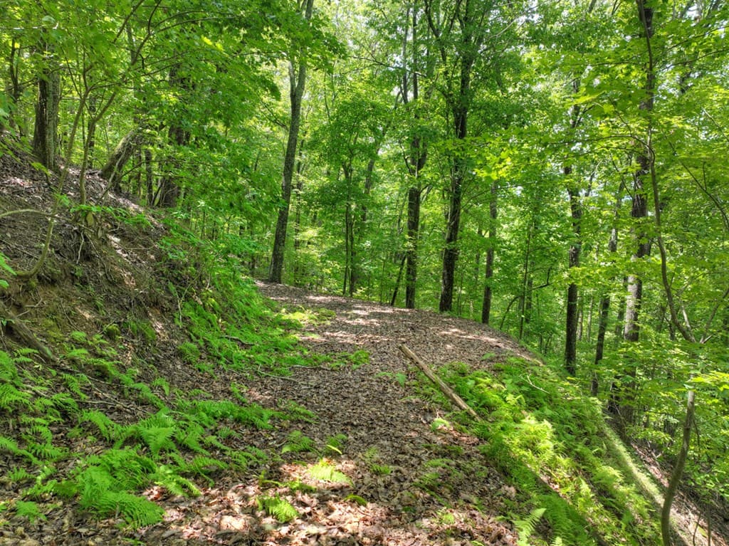 LOT 20 Locust Lane, Morganton GA 30560 - Photo