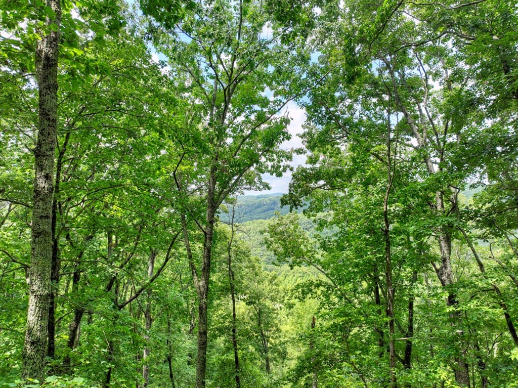 LOT 20 Locust Lane, Morganton GA 30560 - Photo