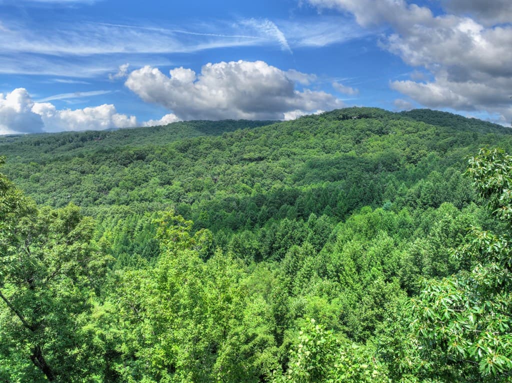 LOT 20 Locust Lane, Morganton GA 30560 - Photo