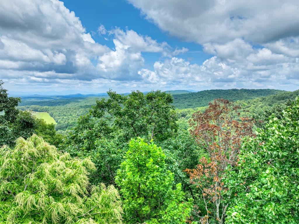 LOT 20 Locust Lane, Morganton GA 30560 - Photo