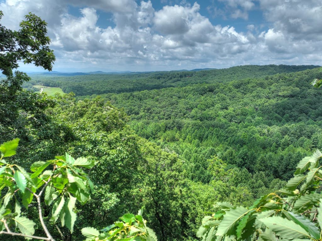 LOT 20 Locust Lane, Morganton GA 30560 - Photo