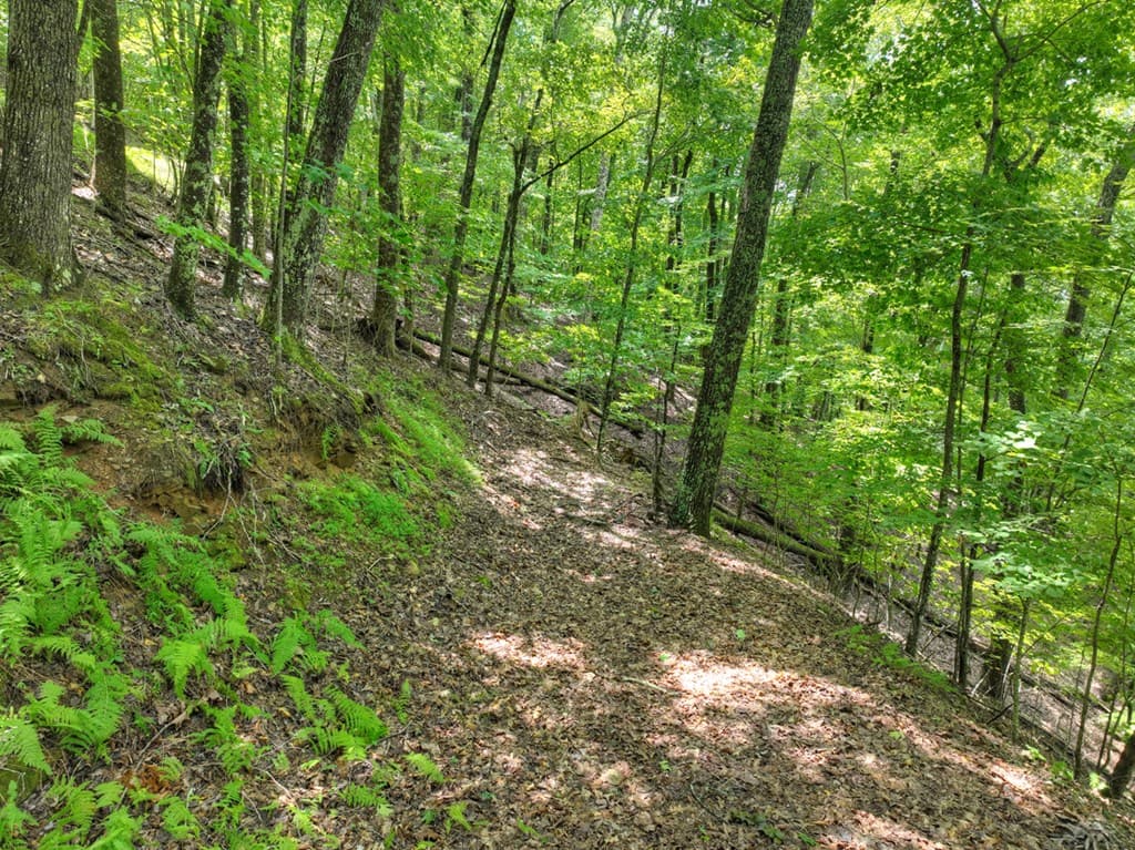 LOT 20 Locust Lane, Morganton GA 30560 - Photo