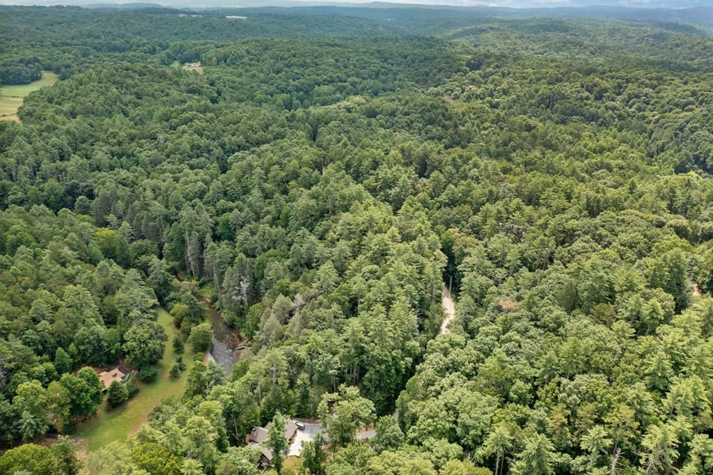 928 Fir Lane, Ellijay GA 30540 - Photo