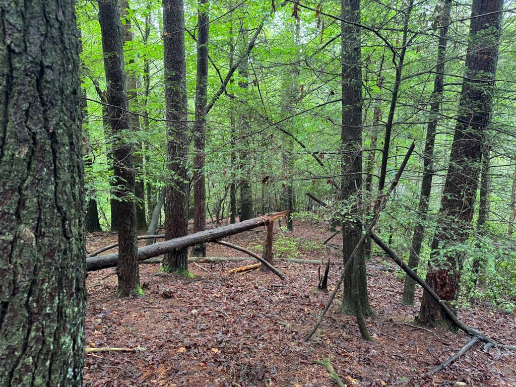 928 Fir Lane, Ellijay GA 30540 - Photo