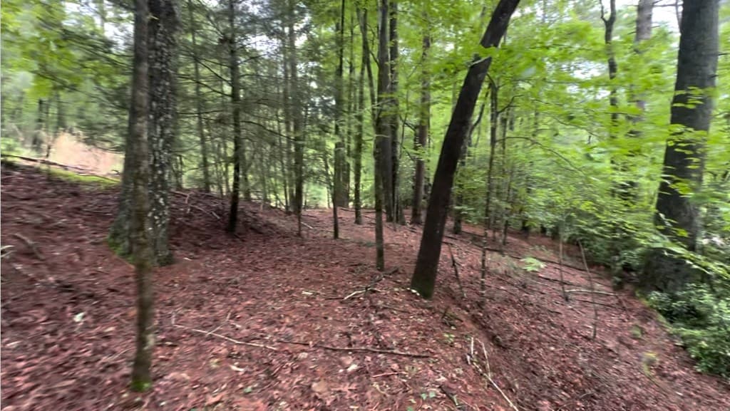 928 Fir Lane, Ellijay GA 30540 - Photo