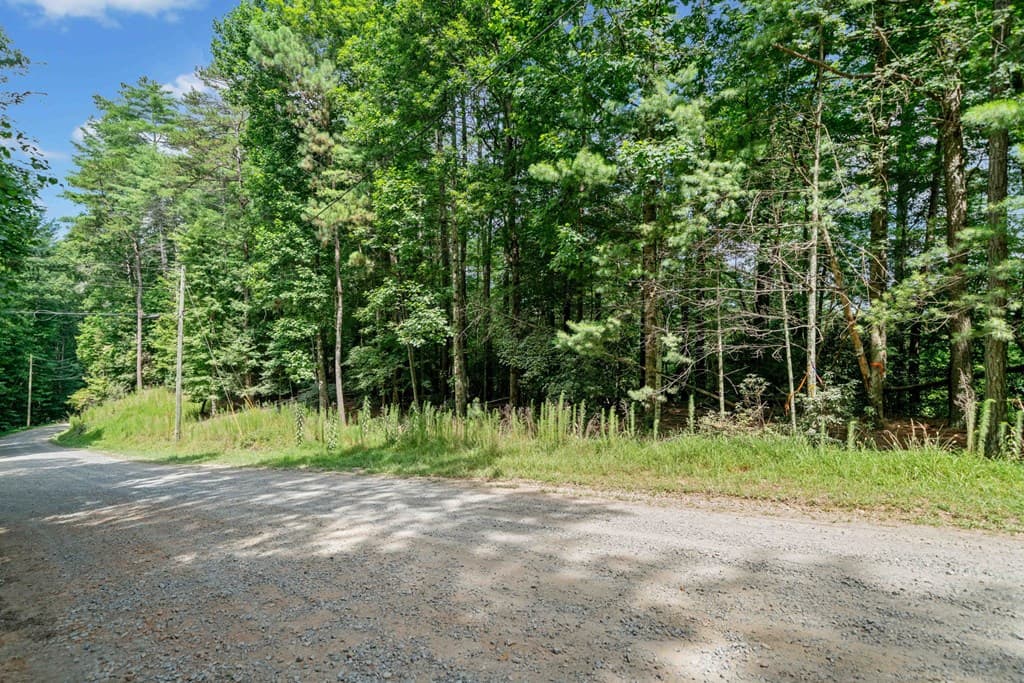 928 Fir Lane, Ellijay GA 30540 - Photo