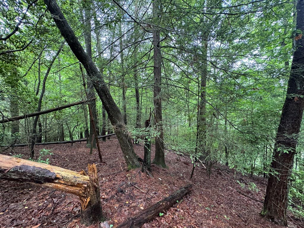 928 Fir Lane, Ellijay GA 30540 - Photo