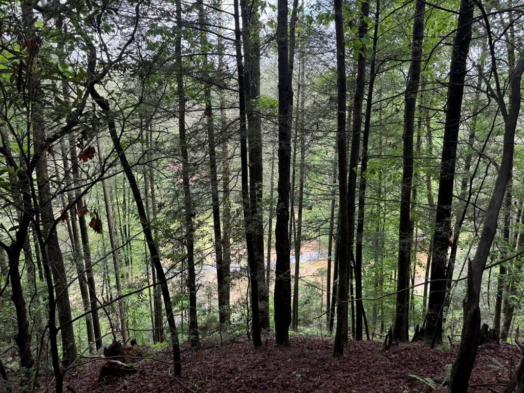 928 Fir Lane, Ellijay GA 30540 - Photo