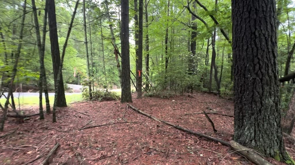 928 Fir Lane, Ellijay GA 30540 - Photo