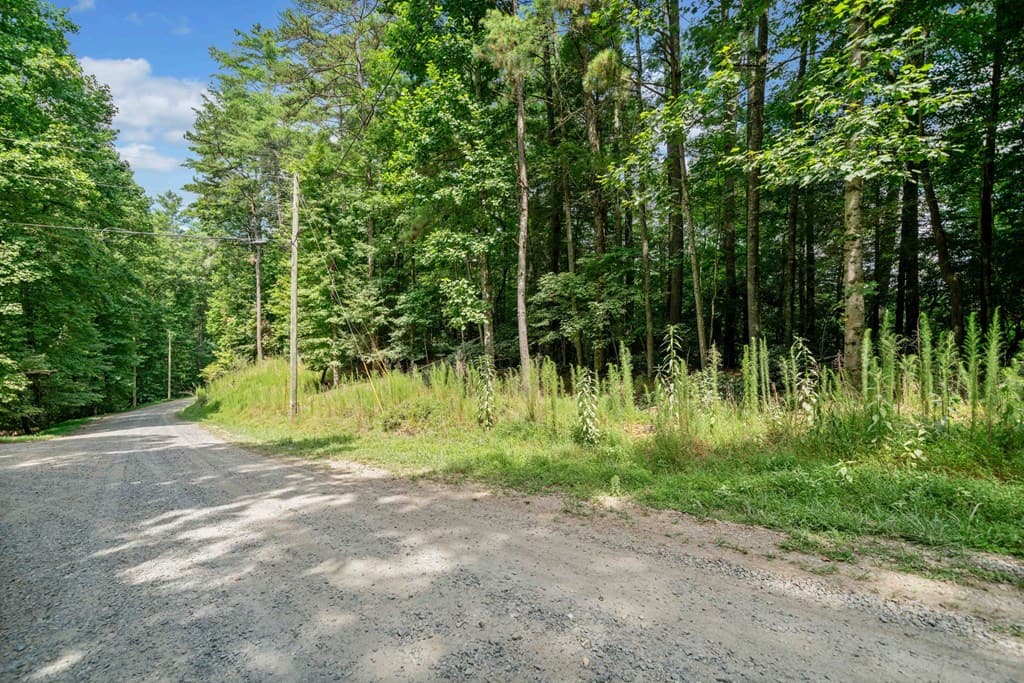 928 Fir Lane, Ellijay GA 30540 - Photo