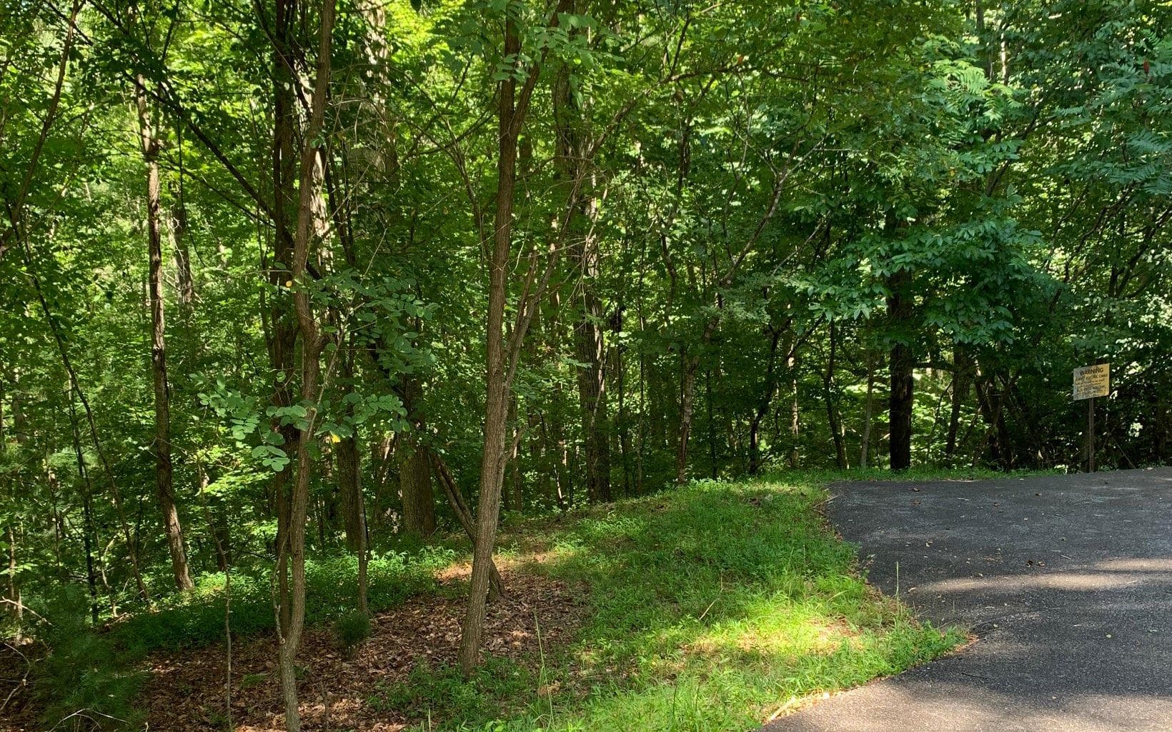 LOT20 Bryant Cove Road, Blairsville GA 30512 - Photo