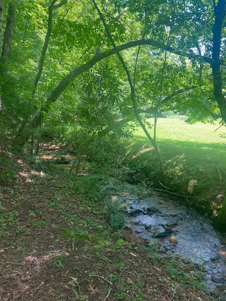 LOT20 Bryant Cove Road, Blairsville GA 30512 - Photo