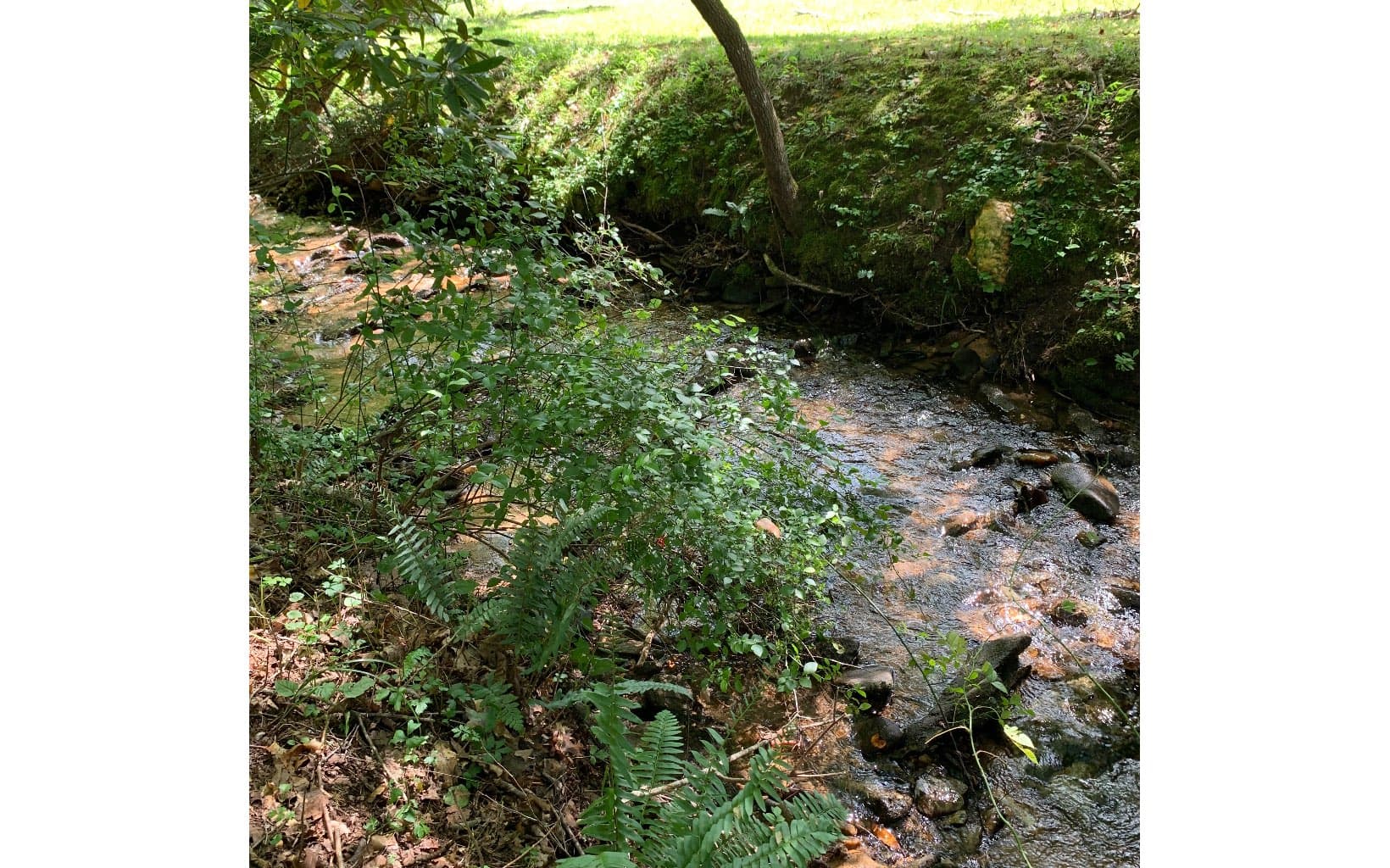 LOT21 Bryant Cove Road, Blairsville GA 30512 - Photo