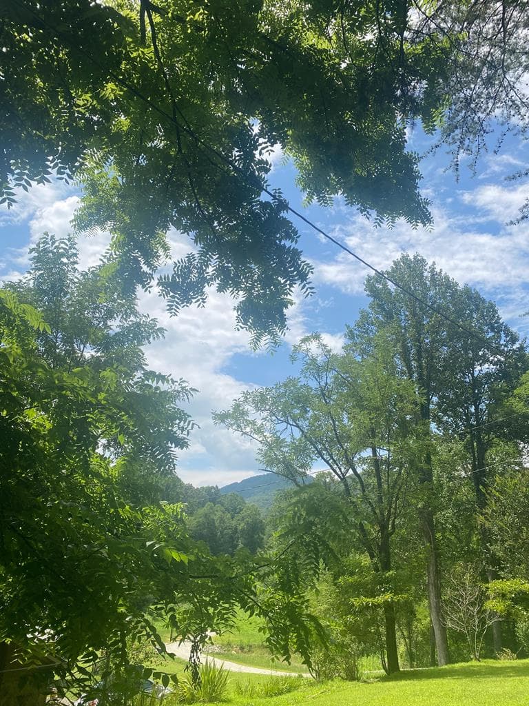 LOT21 Bryant Cove Road, Blairsville GA 30512 - Photo