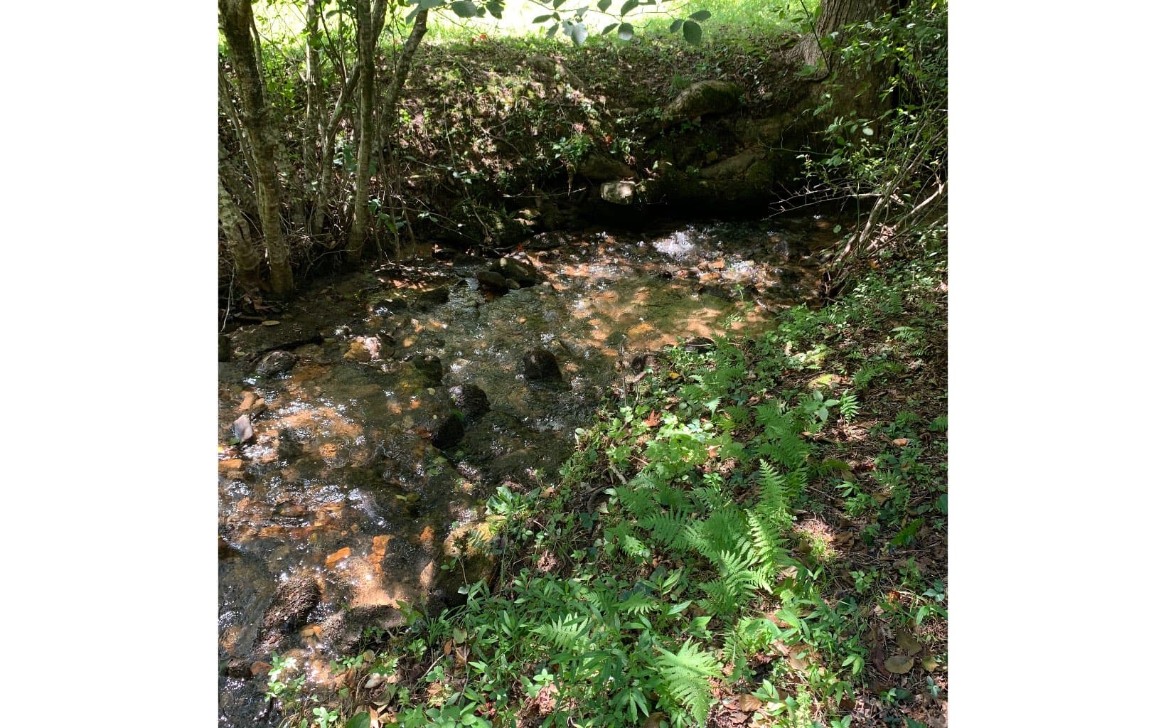 LOT21 Bryant Cove Road, Blairsville GA 30512 - Photo