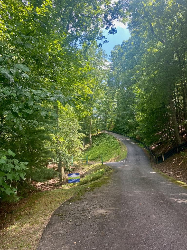 LOT21 Bryant Cove Road, Blairsville GA 30512 - Photo