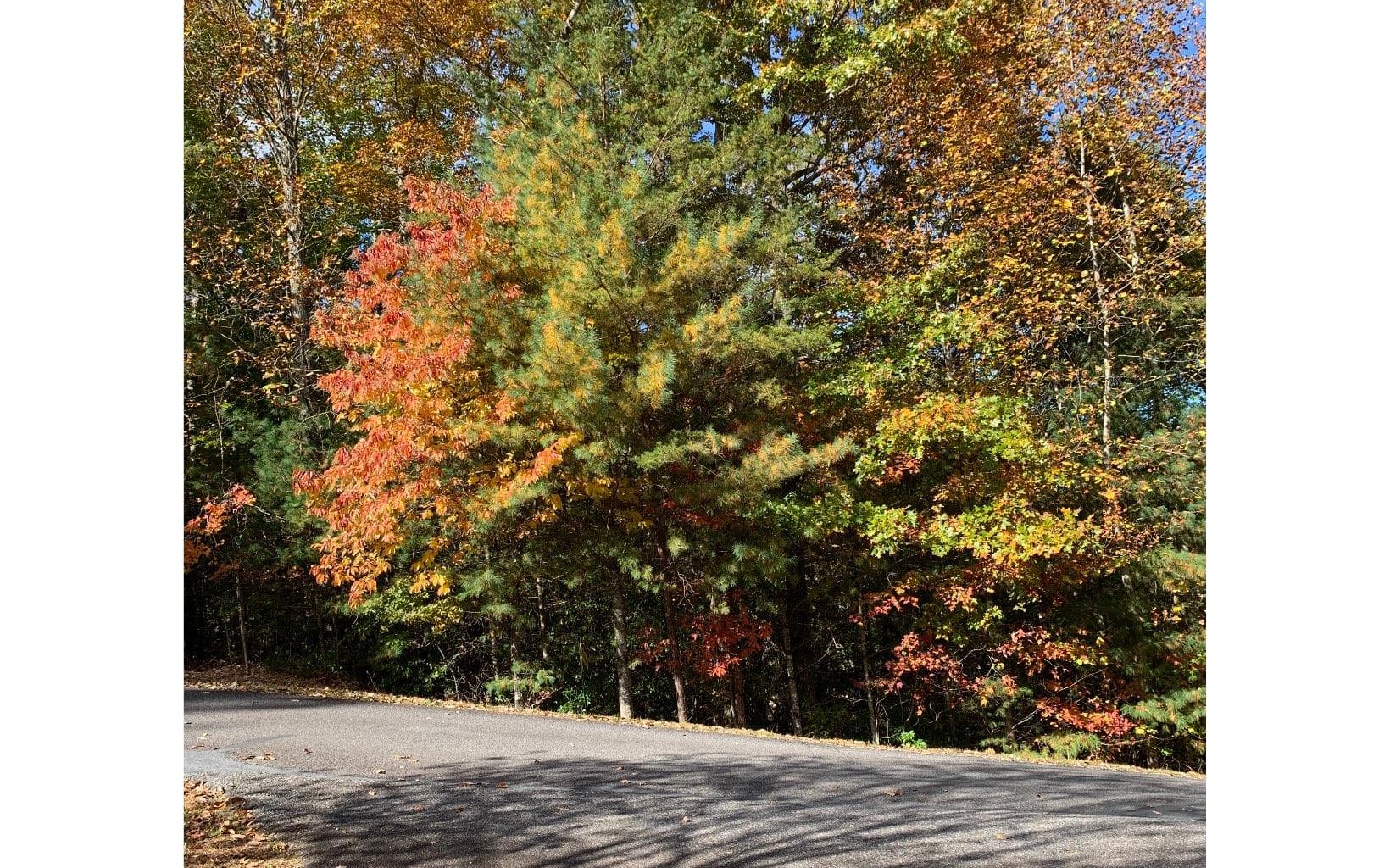 LOT22 Bryant Cove Road, Blairsville GA 30512 - Photo