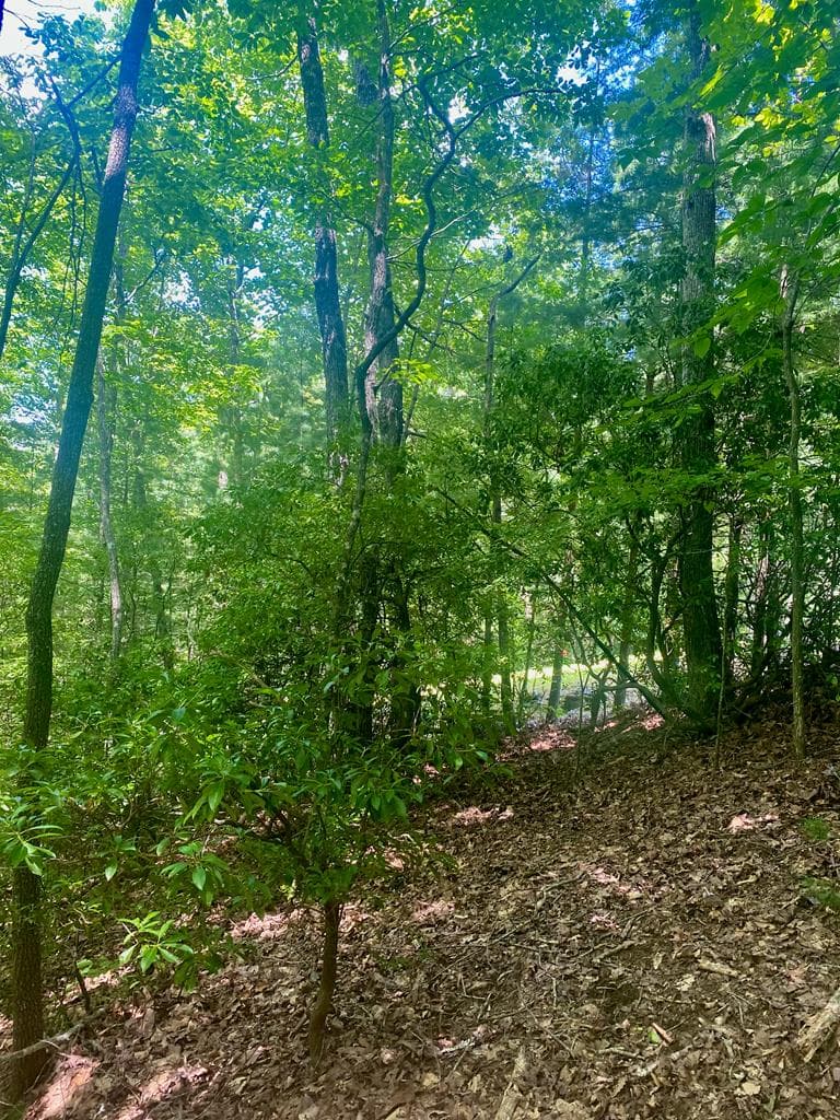 LOT22 Bryant Cove Road, Blairsville GA 30512 - Photo