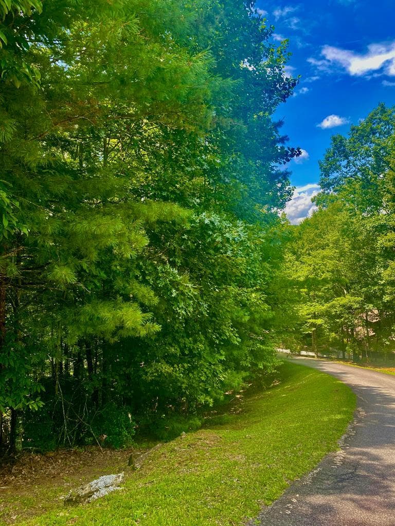 LOT22 Bryant Cove Road, Blairsville GA 30512 - Primary photo