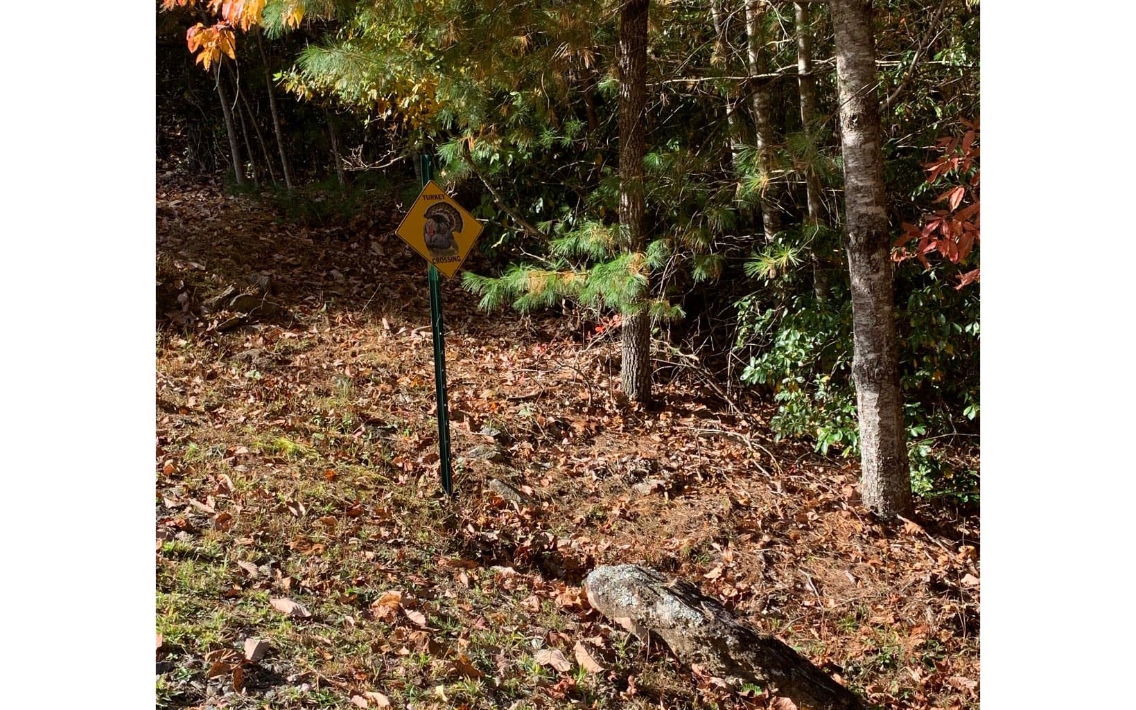 LOT22 Bryant Cove Road, Blairsville GA 30512 - Photo