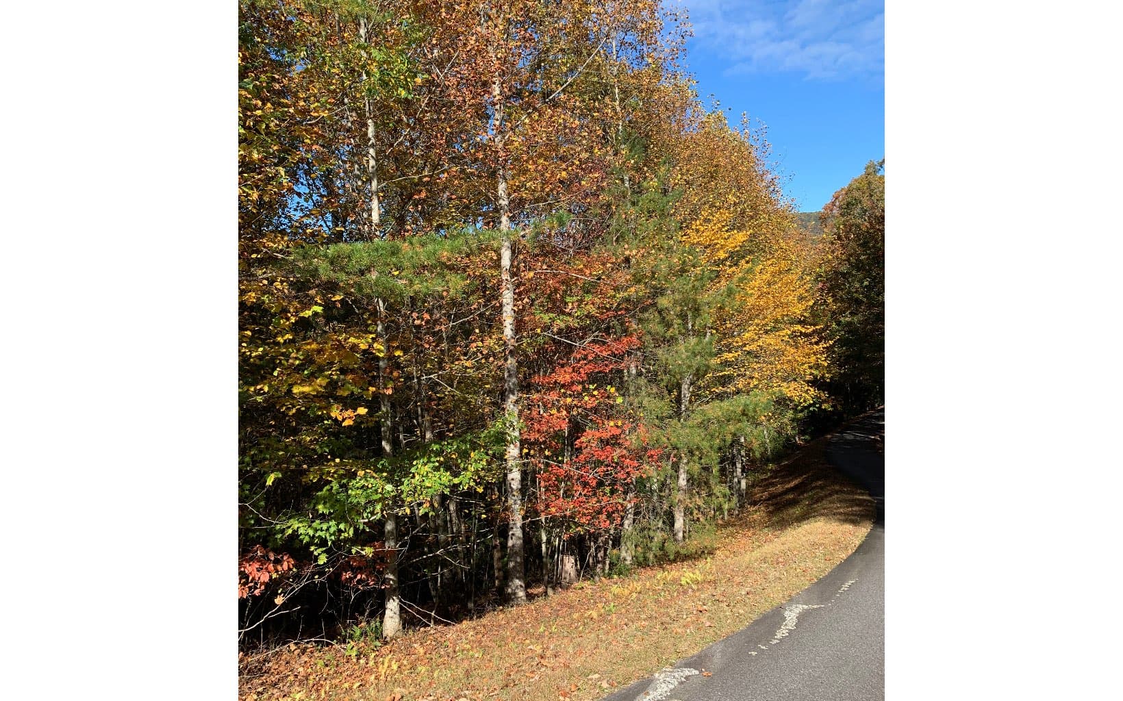 LOT22 Bryant Cove Road, Blairsville GA 30512 - Photo