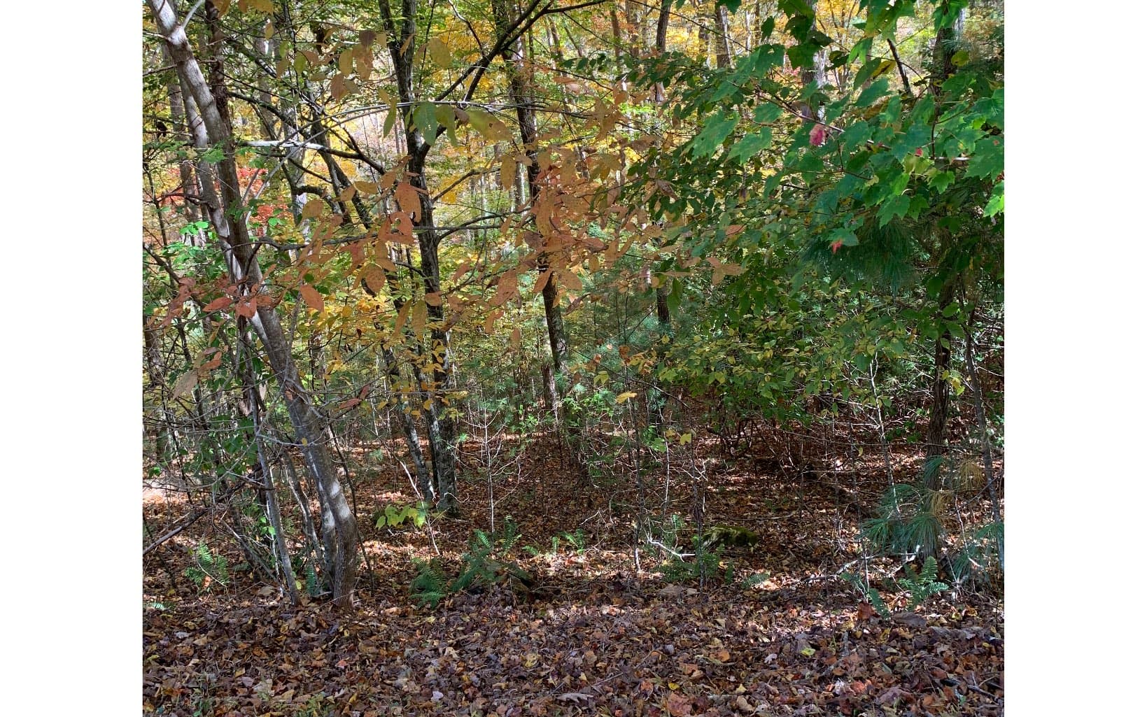 LOT22 Bryant Cove Road, Blairsville GA 30512 - Photo