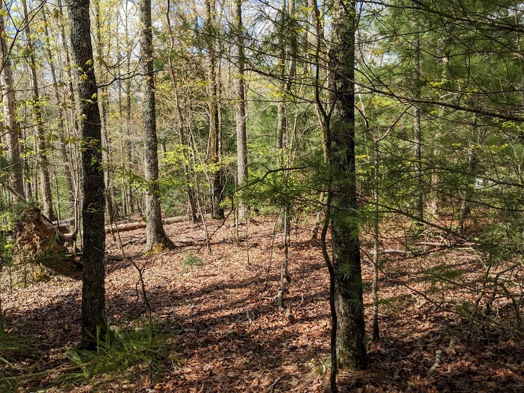 Lot 7 Caddis Trail, Hayesville SC 29804 - Photo