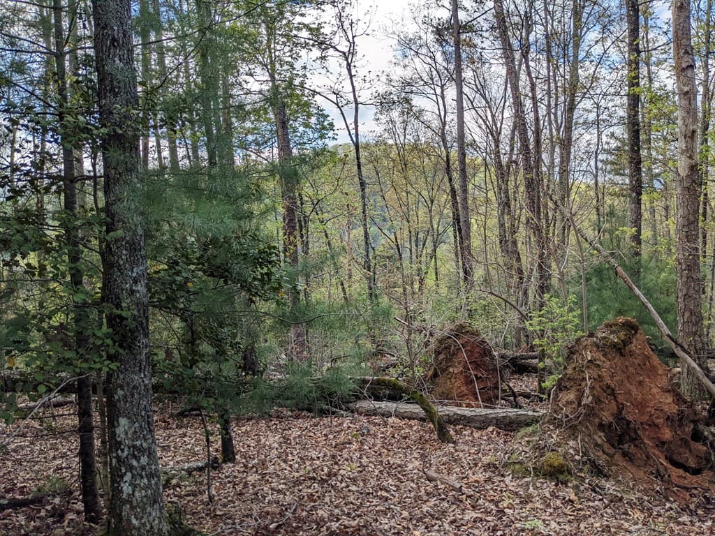 Lot 7 Caddis Trail, Hayesville SC 29804 - Photo
