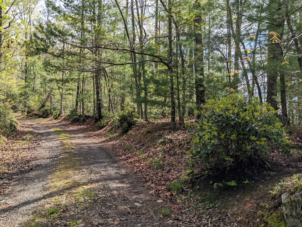 Lot 7 Caddis Trail, Hayesville SC 29804 - Photo