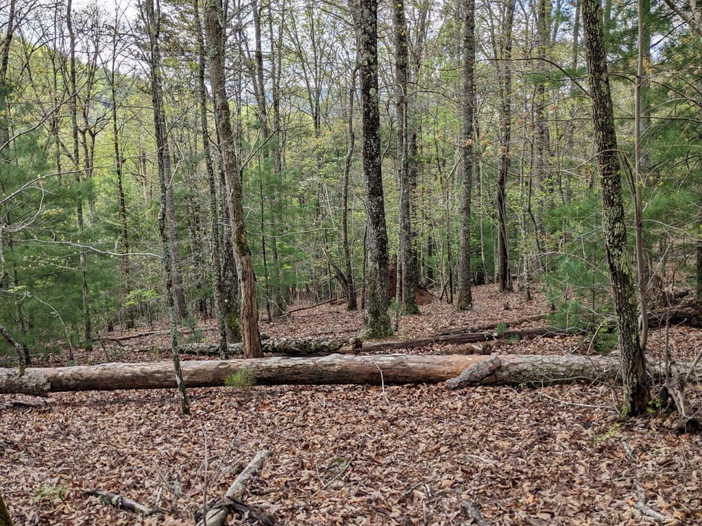 Lot 7 Caddis Trail, Hayesville SC 29804 - Photo