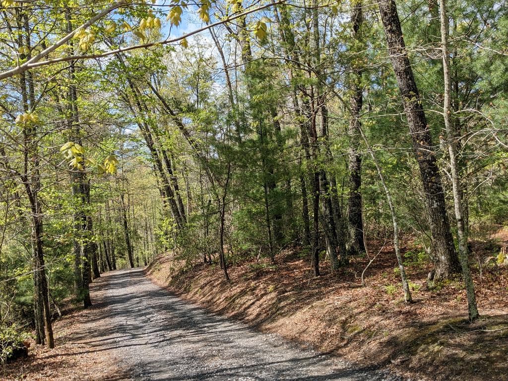 Lot 7 Caddis Trail, Hayesville SC 29804 - Primary photo