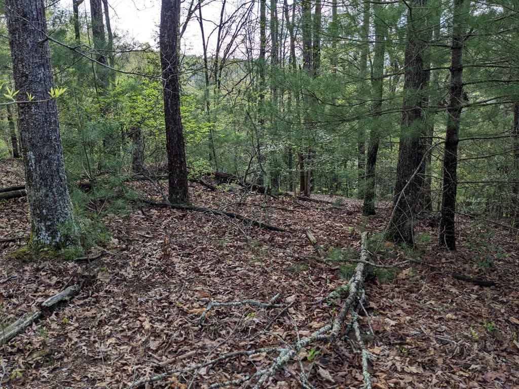 Lot 7 Caddis Trail, Hayesville SC 29804 - Photo