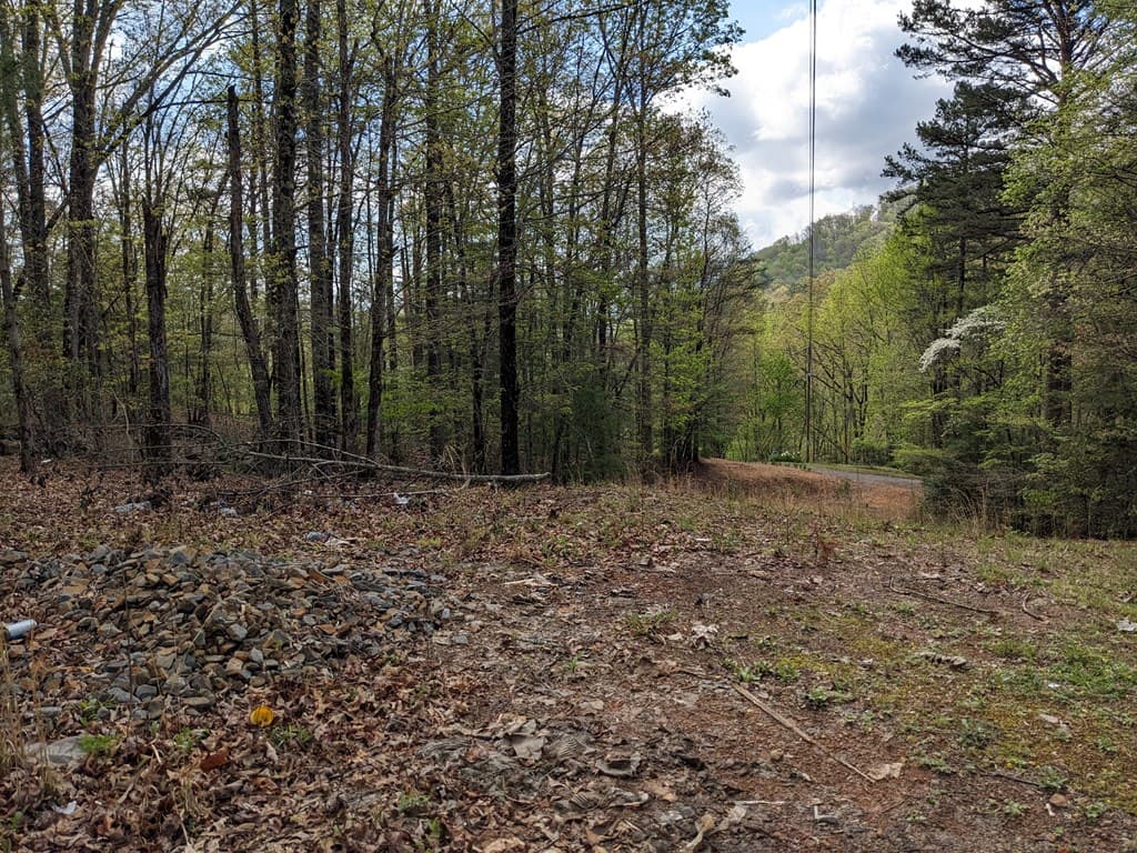 Lot 7 Caddis Trail, Hayesville SC 29804 - Photo