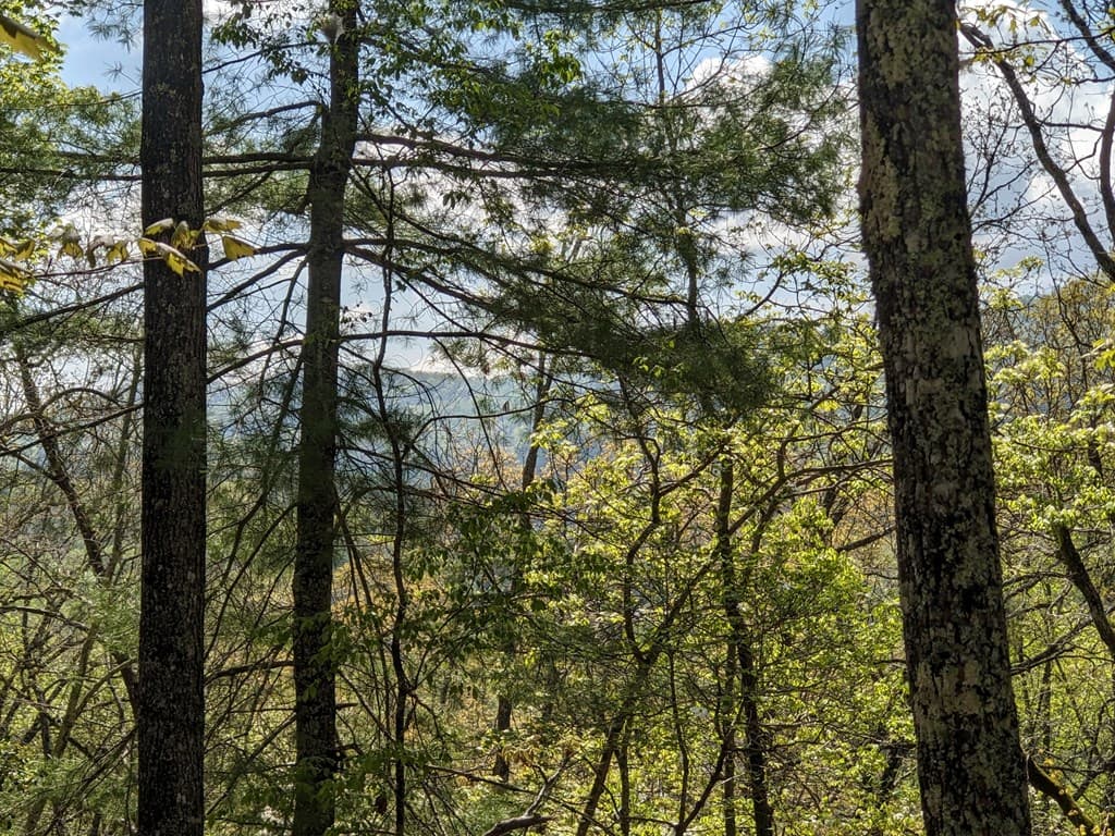 Lot 7 Caddis Trail, Hayesville SC 29804 - Photo
