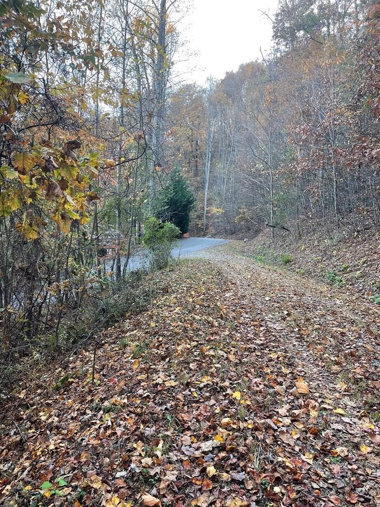 Lot 51J Indian Trail, Hayesville NC 28904 - Photo