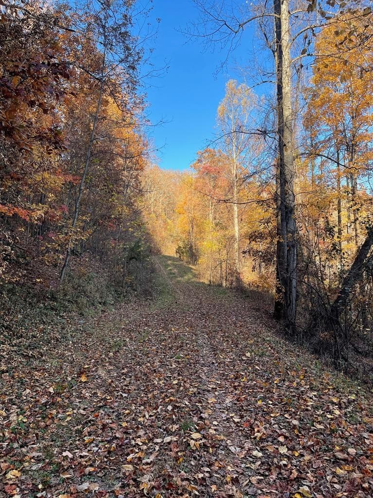 Lot 51J Indian Trail, Hayesville NC 28904 - Photo