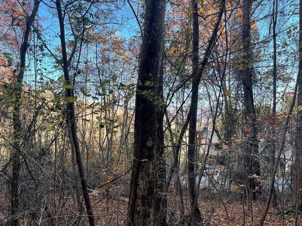 Lot 51J Indian Trail, Hayesville NC 28904 - Primary photo