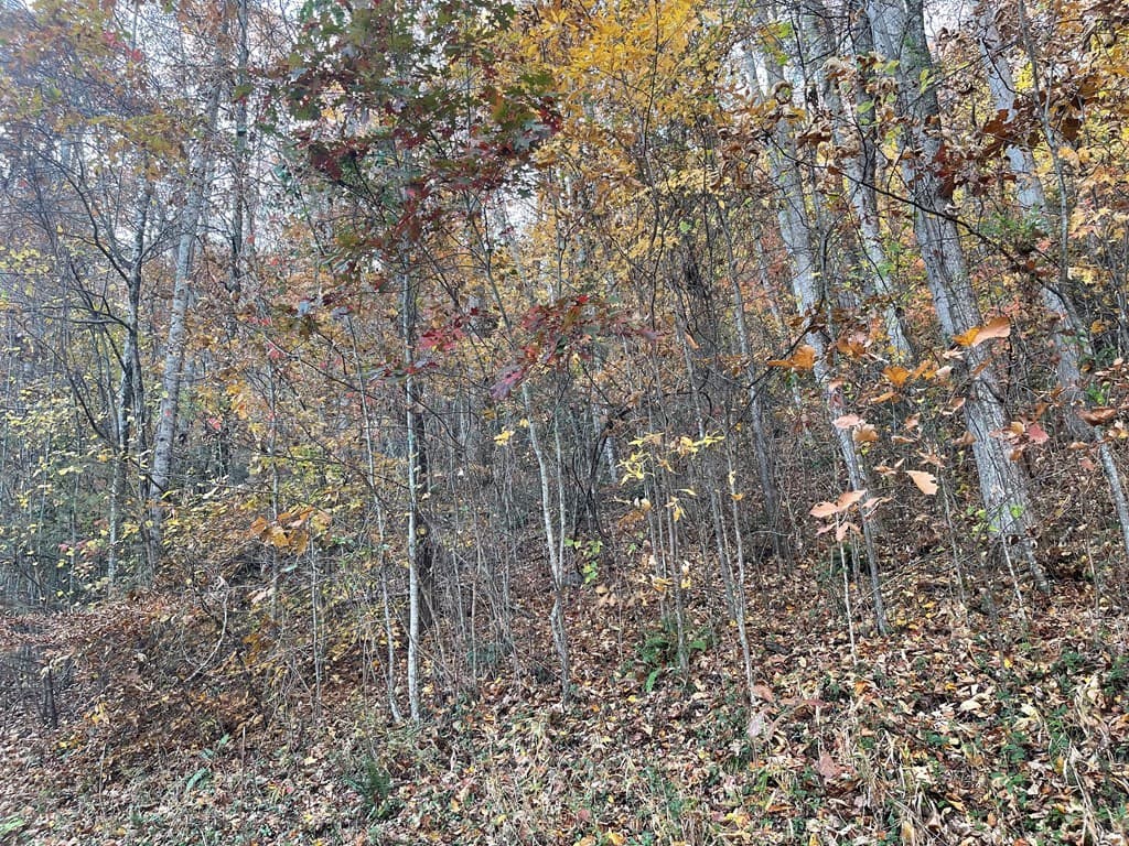 Lot 51J Indian Trail, Hayesville NC 28904 - Photo