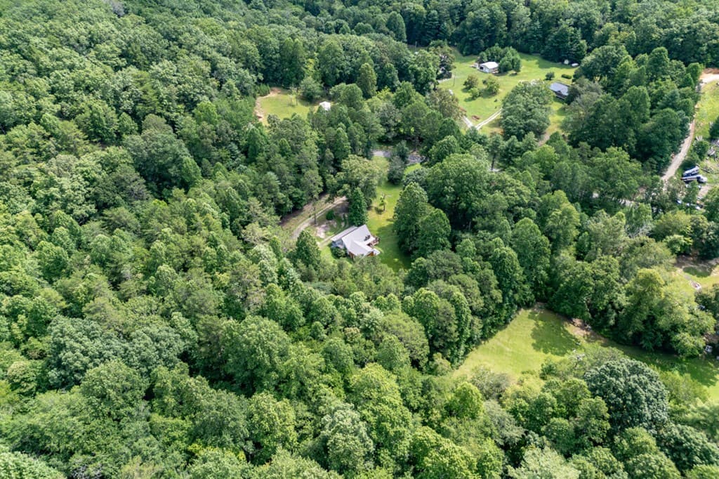 411 Piney Acres Road, Blue Ridge GA 30513 - Photo