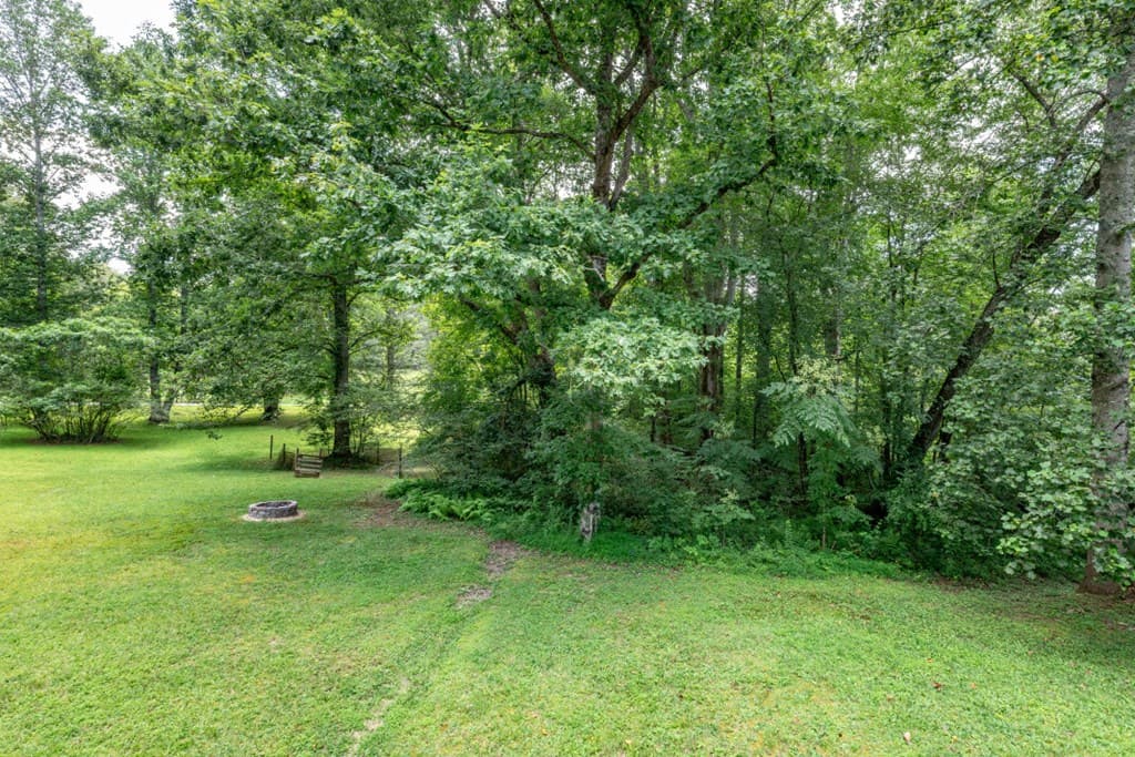 411 Piney Acres Road, Blue Ridge GA 30513 - Photo
