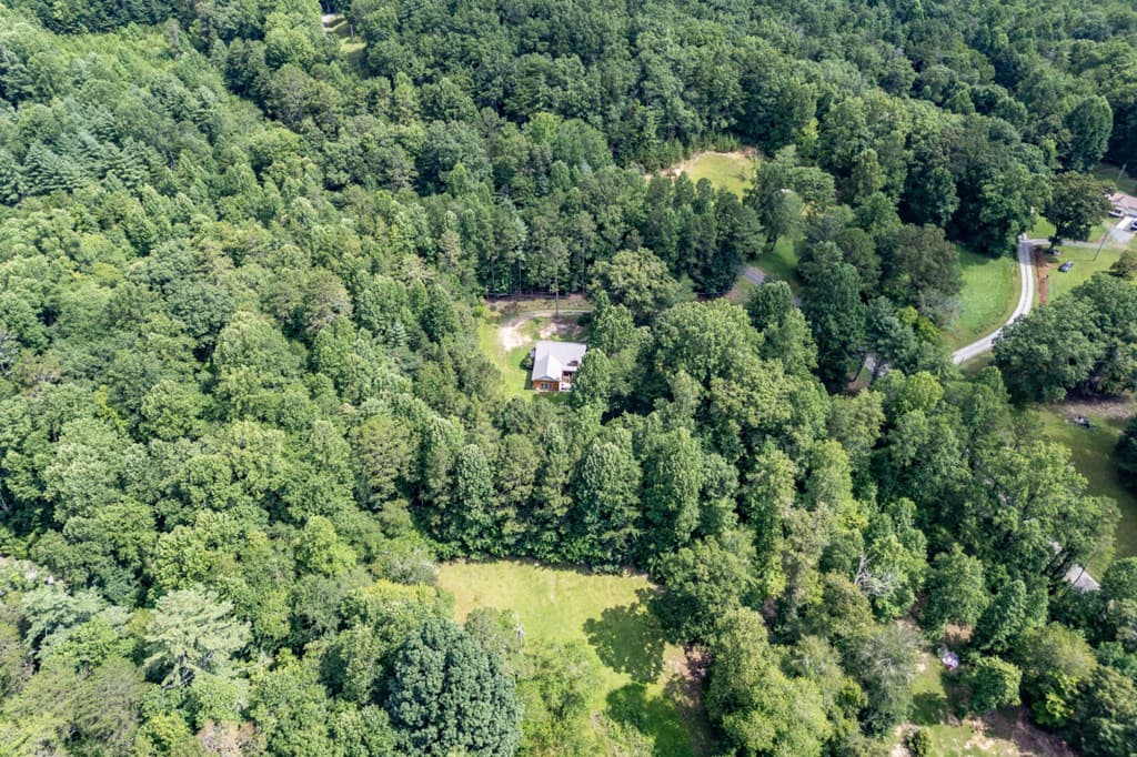 411 Piney Acres Road, Blue Ridge GA 30513 - Photo